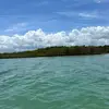calebmaster89 - @caleblohman - TikTok