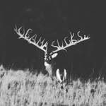 caleb masters - @calebmasters3 - Instagram