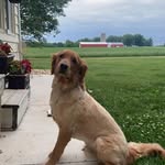 Caleb Matz - @matz_caleb - Instagram