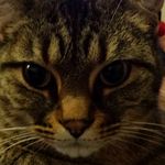 Caleb Mayes - @mayes.caleb - Instagram