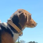 Caleb mayes - @caleb_mayes96 - Instagram