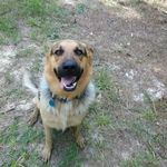 Caleb mayes - @mayes405 - Instagram
