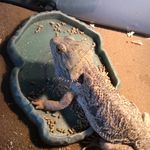 Caleb maynard - @k001guy.571 - Instagram