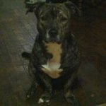 Caleb Mayo - @sirjon420 - Instagram