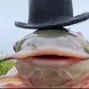 calebmayo229 - @calebmayo339 - TikTok