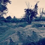 Kaleb McCain - @kaleb_does_bmx - Instagram
