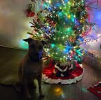 Kaleb McCain - Facebook