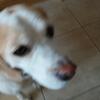 Caleb Mccallum - @caleb._.mccallum - TikTok