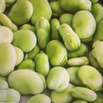 Caleb McCallum - @fav_va_boi - Instagram
