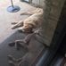 Caleb McCandless - Facebook