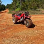 Caleb d mccann - @calebdmccann - Instagram