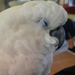 Caleb Mcclain - @caleb.mcclainnn747 - Instagram