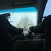 Caleb McClellan - Facebook