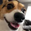 Caleb McClure - @calebmcclure2217 - TikTok