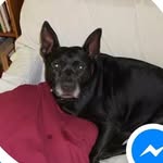 Caleb McCorkle - @lusion99 - Instagram