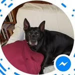 Caleb McCorkle - @luckers11 - Instagram