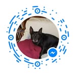 Caleb Mccorkle - Facebook