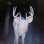 Caleb McCormick - @mccormick.caleb - Instagram
