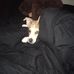 Caleb McCray - Facebook