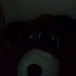 caleb_mcdermott - @caleb_mcdermott1 - Instagram