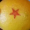 calebmcdermott_ - @calebmcdermott_ - TikTok