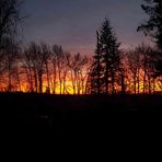 Caleb McDougall - Facebook