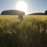 Caleb McGuire - @just_caleb_mcguire - Instagram