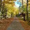 Caleb McGuire - @caleb.mcguire4 - TikTok