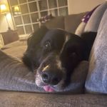 @caleb_mcintyre_ - Instagram