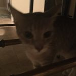 Caleb McKnight - @caleb_mcknight - Instagram