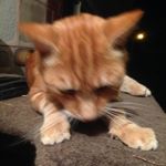 Caleb McMahon - @caleb_mcmahon.priv - Instagram