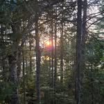 Caleb McManus - @tree_hugger.23 - Instagram