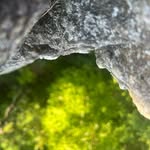 Caleb McNally - @caleb_mcnally_ - Instagram