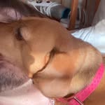 Caleb McNally - @calebm354 - Instagram
