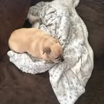 @caleb_mcvey2010 - Instagram