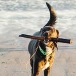 Caleb Mcvey - @c_e_m41482 - Instagram