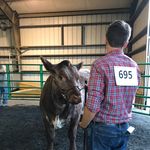 Caleb Meade - @caleb_meade - Instagram