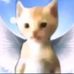Caleb Medrano - Facebook