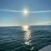 caleb_meeks1 - @caleb_meeks1 - TikTok