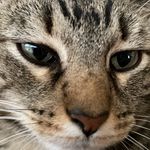 Caleb Meier - @calebmeier7 - Instagram