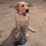 Caleb Meier - @caleb.meier - Instagram
