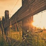 Caleb Meier - @cwmeier98 - Instagram