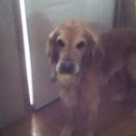Cale Mentzer - @redneck113 - Instagram