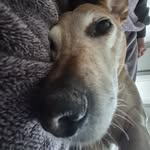 Caleb Mercer - @15_16_best_time_signature - Instagram