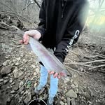 Caleb Mercer - @caleb_mercer64 - Instagram