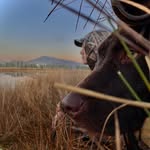 Caleb Merrill - @kickin_sticks_outdoors - Instagram
