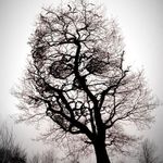 Caleb Metz - @maddragonjr260 - Instagram