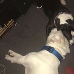 Caleb Metzger - @caleb.metzger.52 - Instagram
