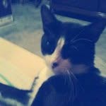 Caleb Meza - @caleb_meza - Instagram