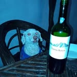 Caleb Meza - @mezacaleb0407 - Instagram